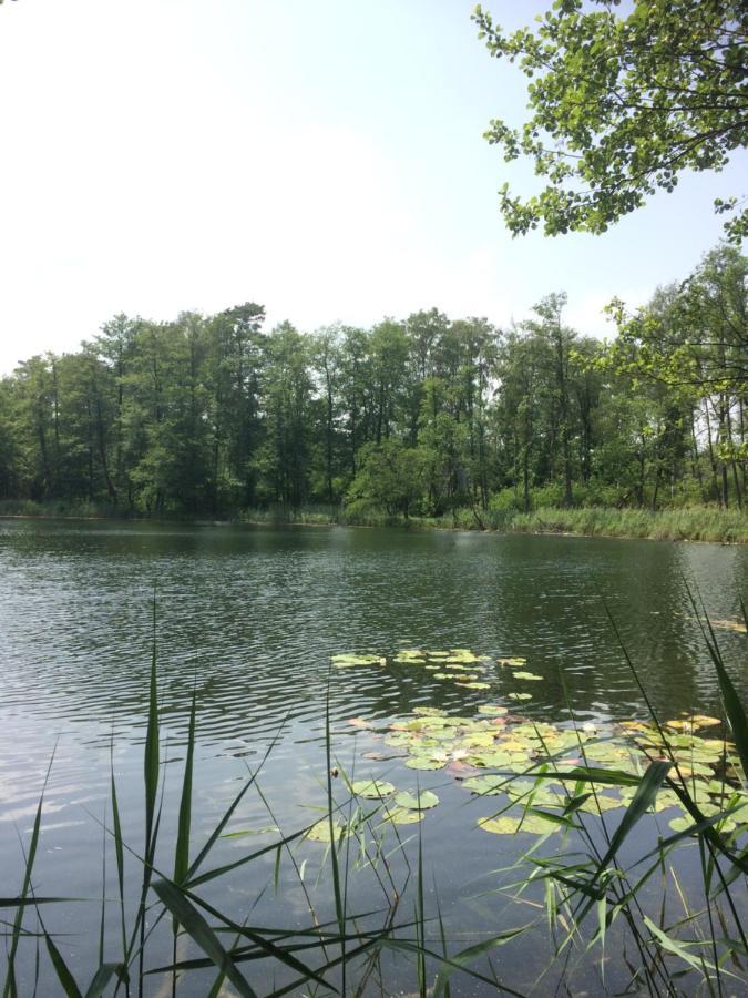 Tuczno Satnatorium B&B 외부 사진