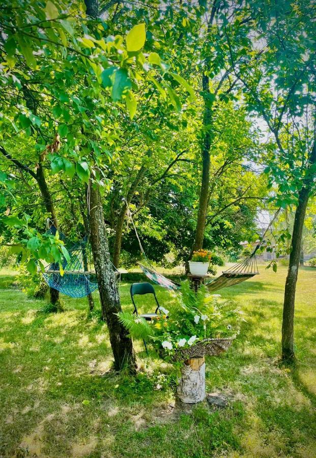 Tuczno Satnatorium B&B 외부 사진